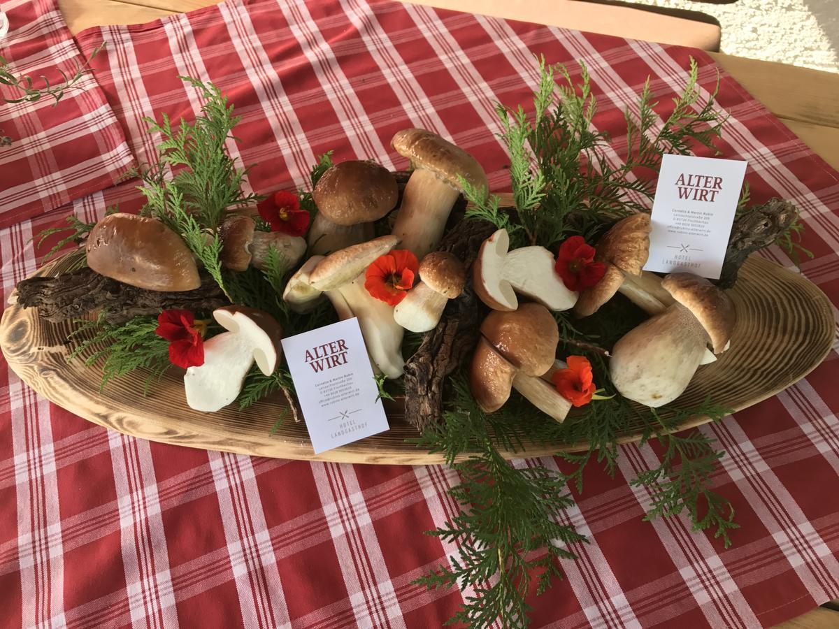 Hotel Landgasthof Alter Wirt Fischbachau Kültér fotó